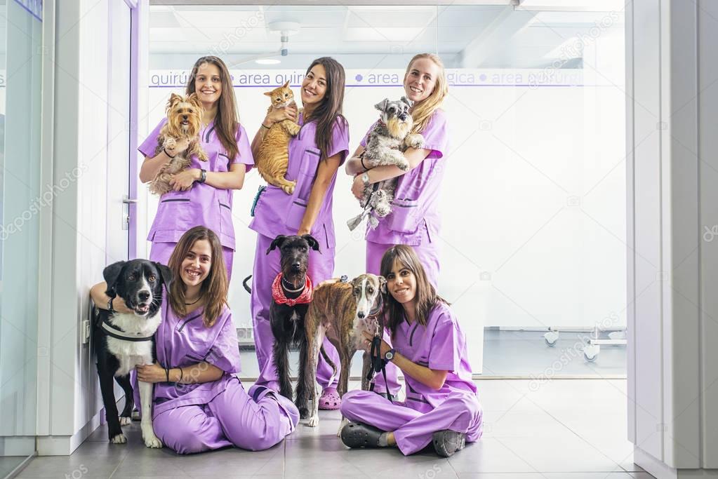 Cheerful women team veterinary holding her pets.
