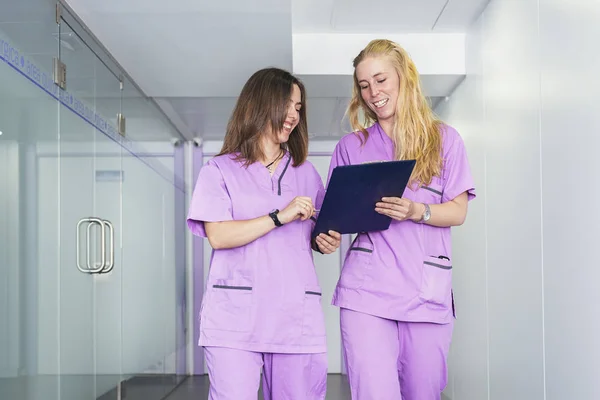 Veterinary professionals in the clinic. — Stock Photo, Image