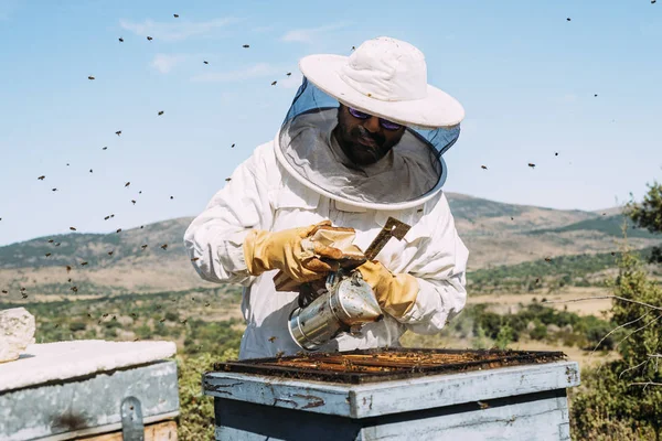 Arı yetiştiricisi bal topluyor.. — Stok fotoğraf