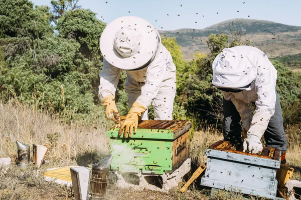 Arı yetiştiricisi bal topluyor.. — Stok fotoğraf