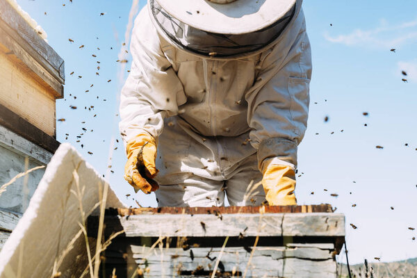 Пчеловод собирает мед.