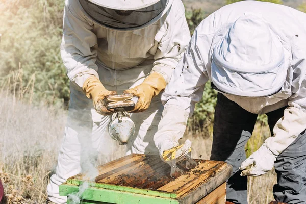 Gli apicoltori che lavorano raccolgono miele . — Foto Stock