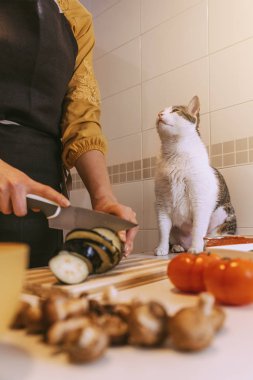 Tatlı kedisi ile lezzetli pizza hazırlama kadın.