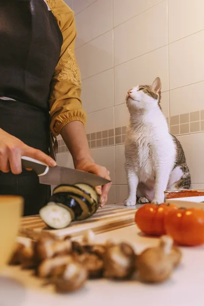 Kvinna som förbereder läckra pizza med hennes söta katt. — Stockfoto