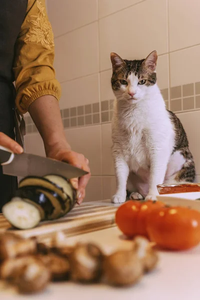 Marktlieden, heerlijke pizza met haar zoete kat. — Stockfoto