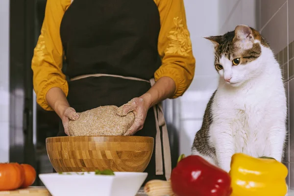 Frau bereitet mit ihrer süßen Katze leckere Pizza zu. — Stockfoto