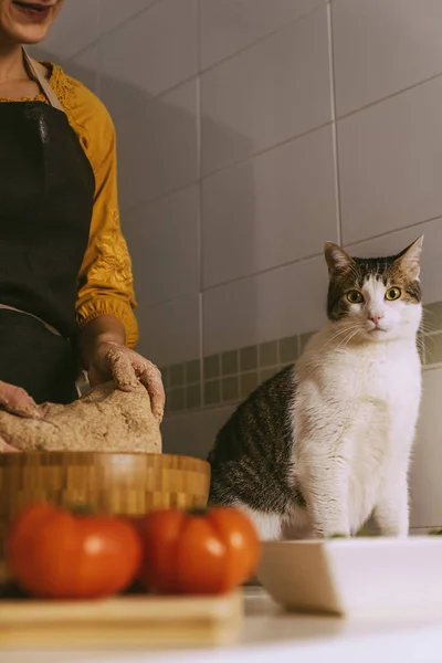 Женщина готовит вкусную пиццу со своей сладкой кошкой . — стоковое фото