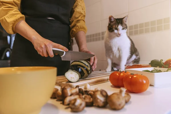 Femme préparant une délicieuse pizza avec son chat doux . — Photo