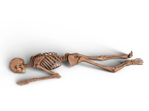 Renderowania 3D cg szkieletu — Zdjęcie stockowe