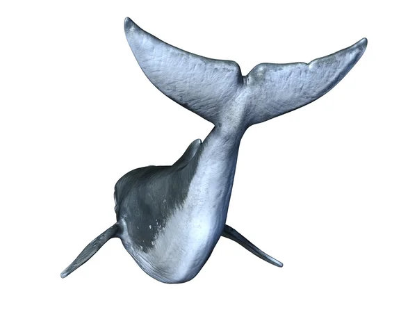 3D rendu 3D d'une baleine — Photo