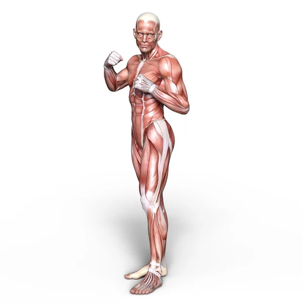 3D CG візуалізація чоловічої фігури — стокове фото