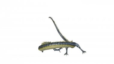 bir doragon 3d cg render