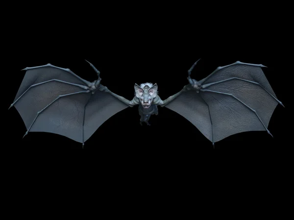 3D CG renderização de um morcego — Fotografia de Stock