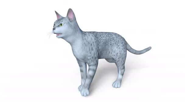 3D cg-rendering av en vandrande katt — Stockvideo