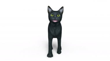 3d cg işleme bir yürüyen siyah kedi