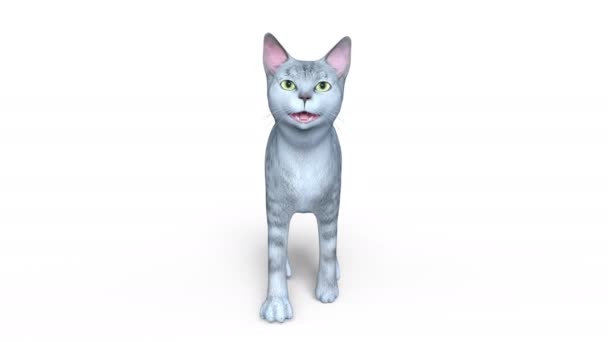 3D-cg-Darstellung einer wandelnden Katze — Stockvideo