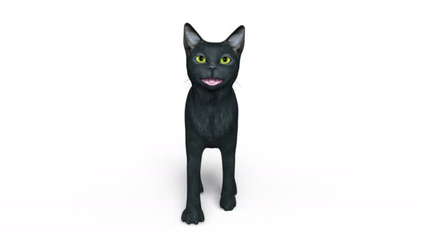 3D CG rendering of a walking black cat — Stock Video