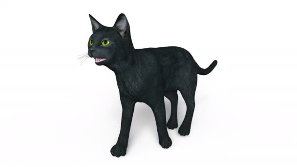 3D cg vykreslování chodící černá kočka — Stock video