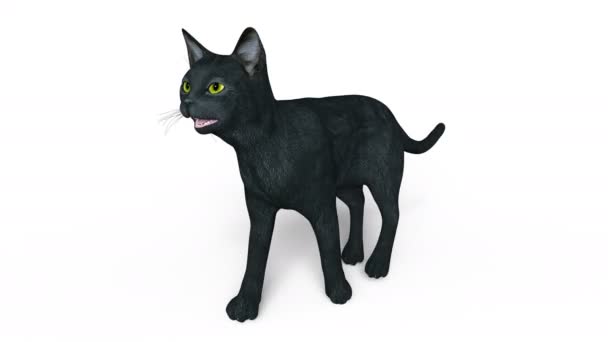 3D CG representación de un gato negro caminando — Vídeo de stock