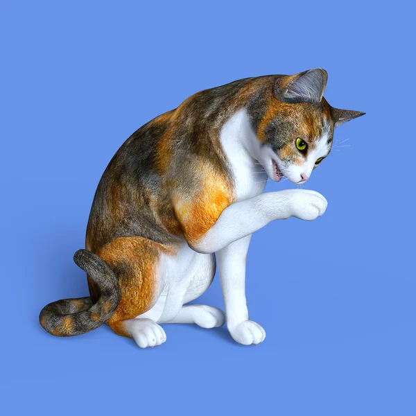 고양이의 3d cg 렌더링 — 스톡 사진