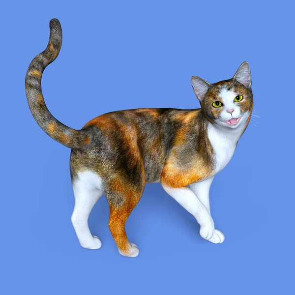 3D-cg-Darstellung einer Katze — Stockfoto