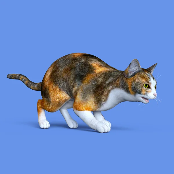 3D-s cg visszaadás-ból egy macska — Stock Fotó