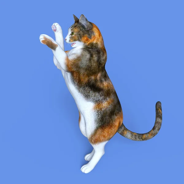 3d cg işleme bir kedi — Stok fotoğraf