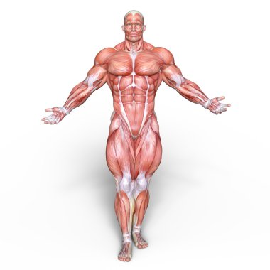 bir erkek yatıyordu şekil 3d cg render