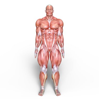 bir erkek yatıyordu şekil 3d cg render