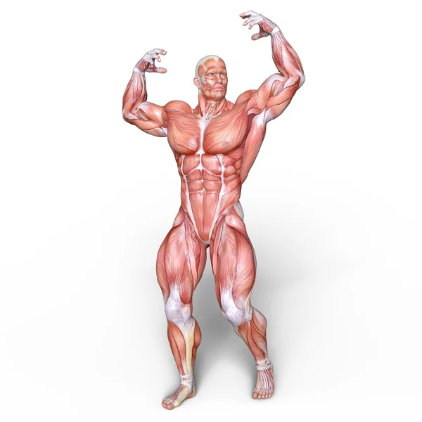 3D CG-рендеринг мужской фигуры — стоковое фото