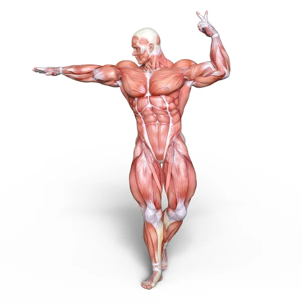 3D CG rendering of a male lay figure — Stock Photo, Image