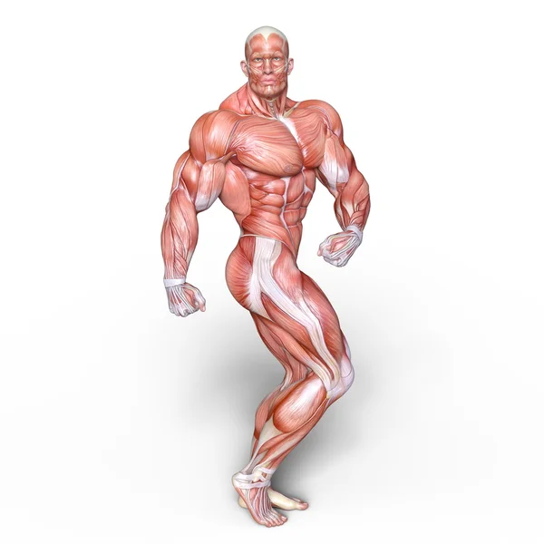 3D CG renderização de uma figura de leigo masculino — Fotografia de Stock