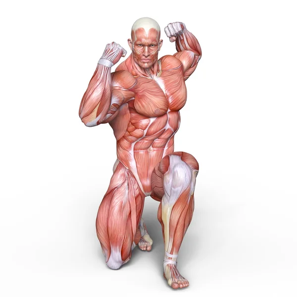 3D CG representación de una figura laica masculina — Foto de Stock