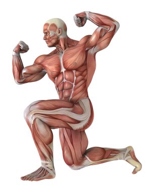 bir erkek yatıyordu şekil 3d cg render