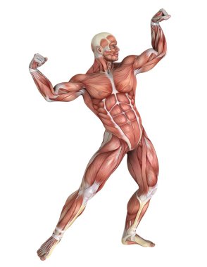 bir erkek yatıyordu şekil 3d cg render