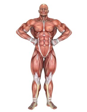 bir erkek yatıyordu şekil 3d cg render