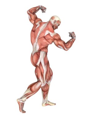 bir erkek yatıyordu şekil 3d cg render