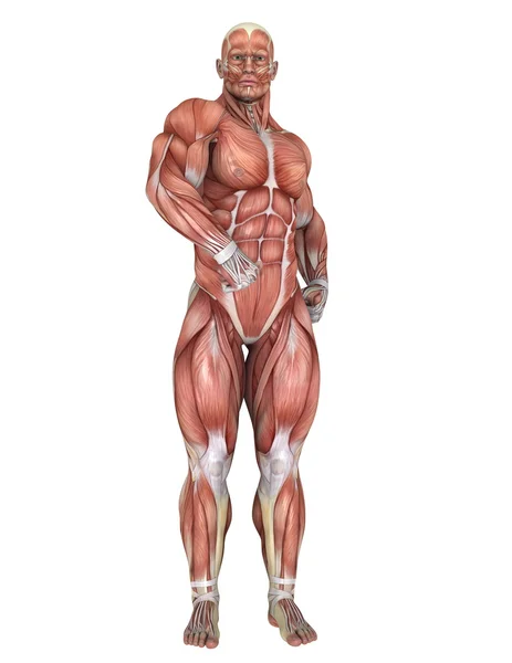 3D CG renderização de uma figura de leigo masculino — Fotografia de Stock