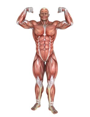 bir erkek yatıyordu şekil 3d cg render