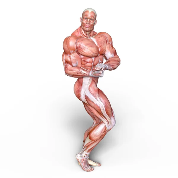 Redare 3D CG a unei figuri laice masculine — Fotografie, imagine de stoc