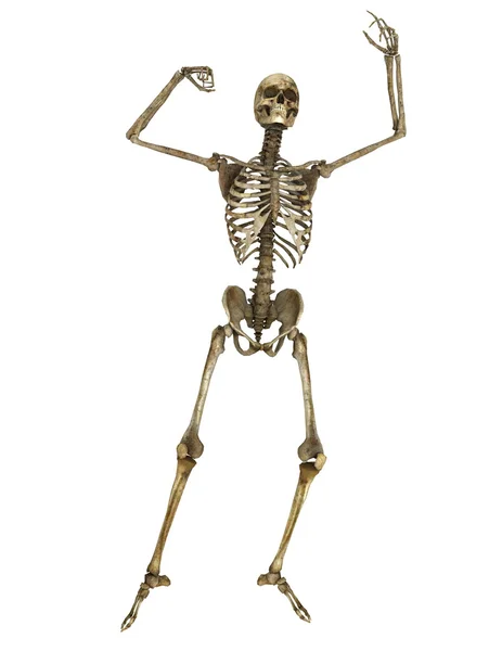 3D-cg rendering van een skelet — Stockfoto