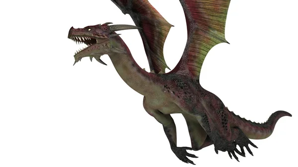 3D CG rendering of a dragon — Stock Photo, Image