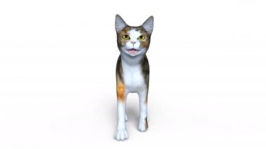 3d cg işleme yürüyen bir kedi