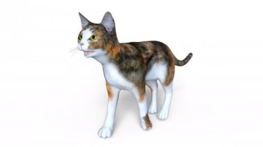 3d cg işleme yürüyen bir kedi