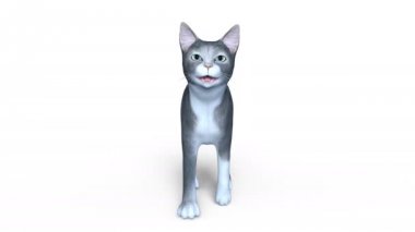 3d cg işleme yürüyen bir kedi