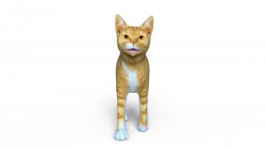 3d cg işleme yürüyen bir kedi