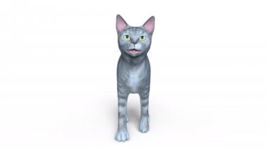 3d cg işleme yürüyen bir kedi