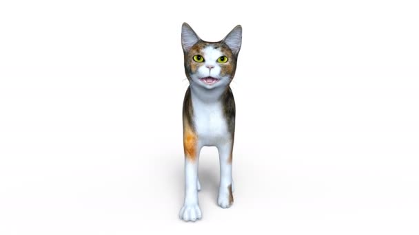 3D-cg-Darstellung einer wandelnden Katze — Stockvideo