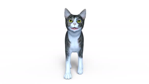 3D CG rendering of a walking cat — Stock Video