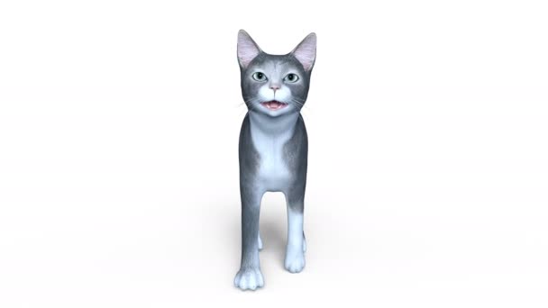 3D CG rendering of a walking cat — Stock Video